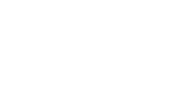 LW Technic logo